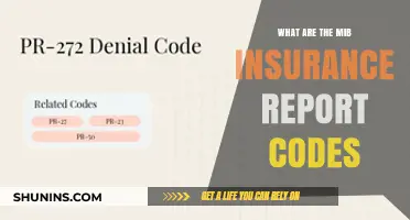 MIB Insurance Report Codes: Understanding the System