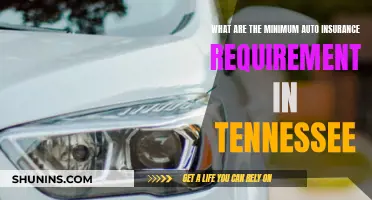 Auto Insurance Requirements: Tennessee's Minimum Standards Explained