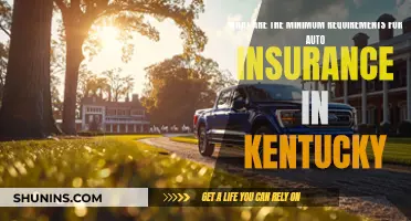 Auto Insurance in Kentucky: Minimum Requirements Explained