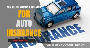 Auto Insurance: Minimum Requirements and Their Importance