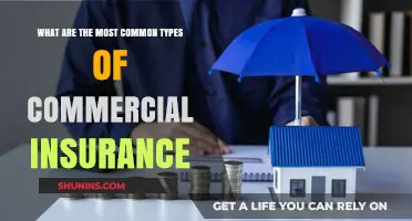 Commercial Insurance: Common Types Businesses Need