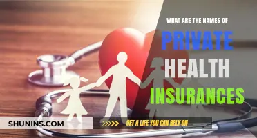 Exploring Private Health Insurance Options: A Comprehensive Guide
