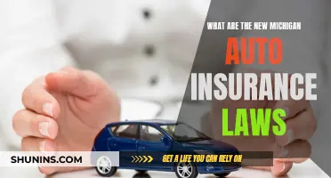 Michigan Auto Insurance Laws: What's New?