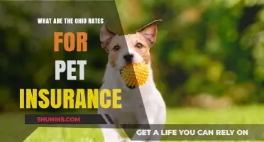 Pet Insurance Rates in Ohio: How Much Does it Cost?