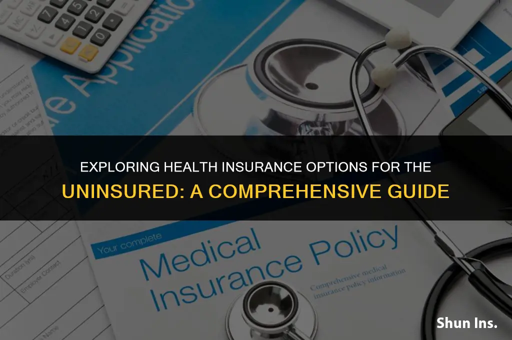 what are the options for someone uninsured for health insurance