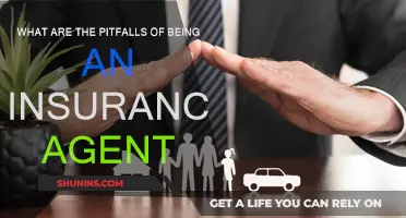 Insurance Agents: Pitfalls and Challenges in the Profession