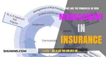 Risk Management Principles: Insurance Essentials