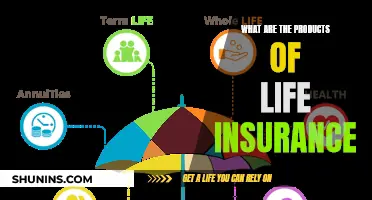 Life Insurance: Understanding the Products and Their Benefits