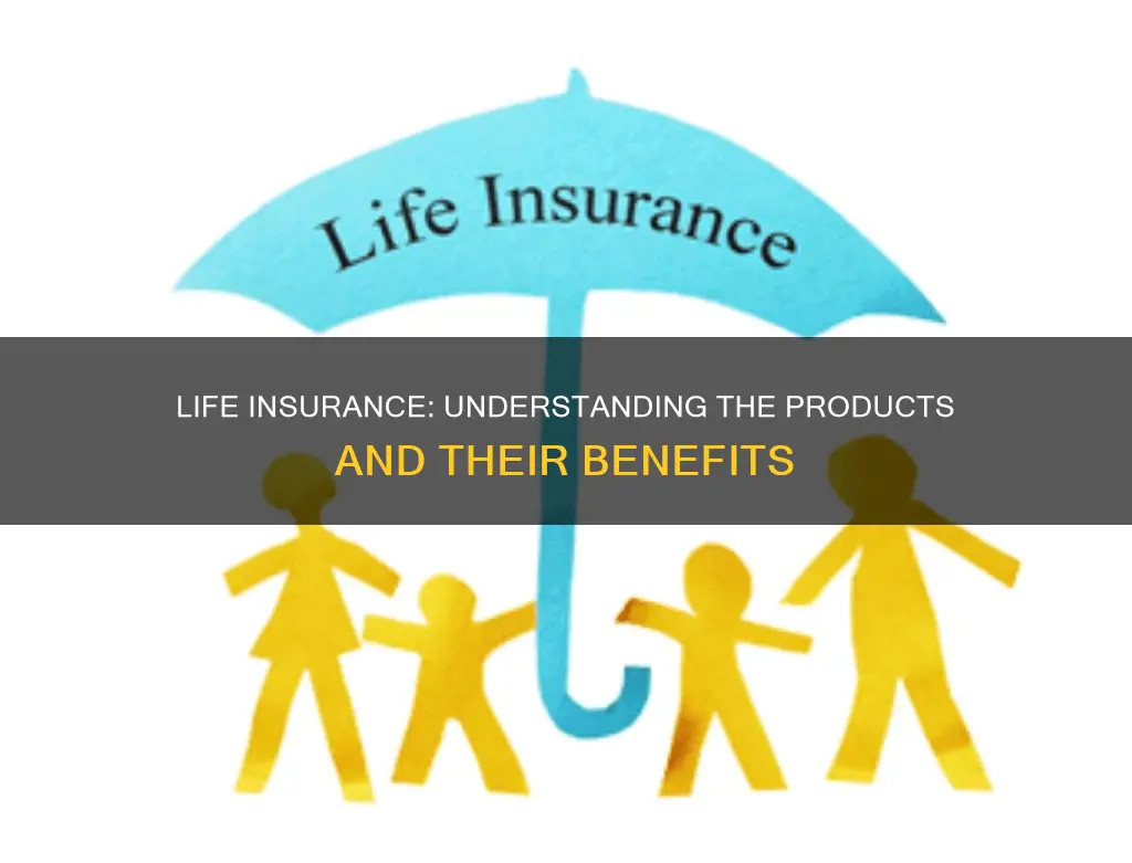 what are the products of life insurance