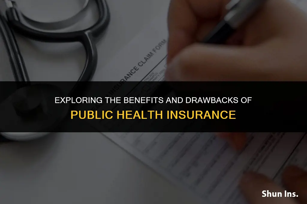 what are the pros and cons of public health insurance