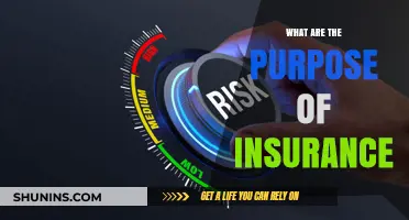 Understanding Insurance: Managing Risk and Uncertainty