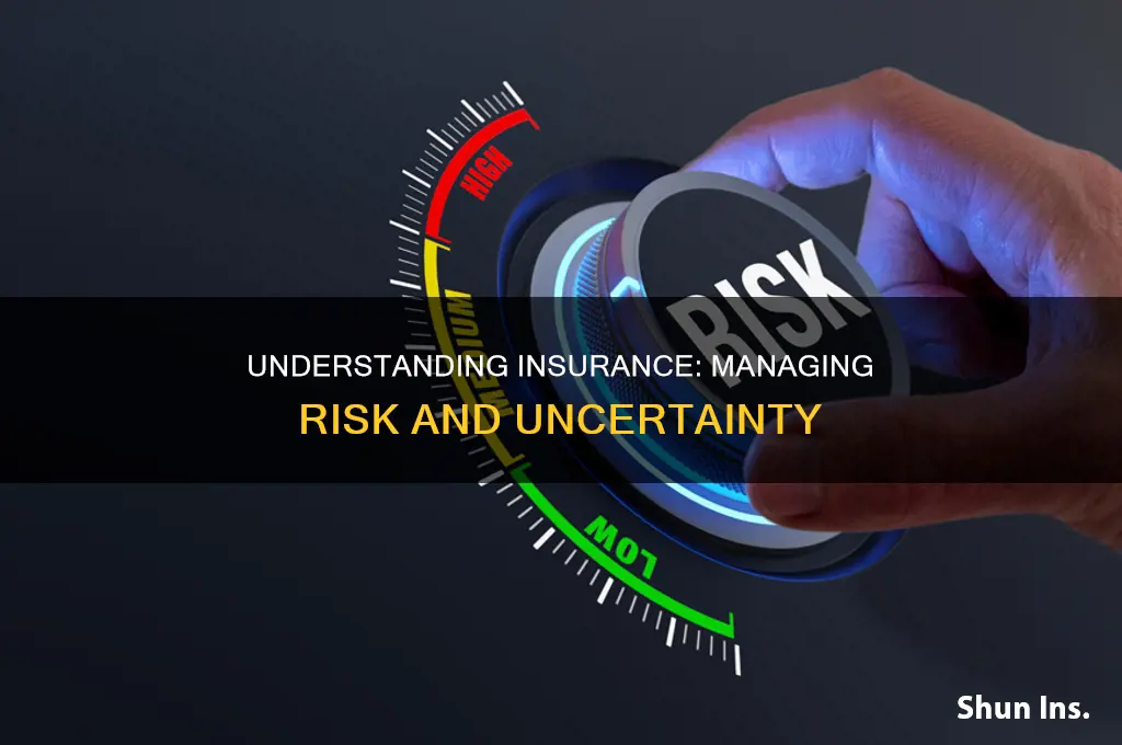 what are the purpose of insurance