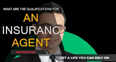 Key Skills and Qualifications for Insurance Agents
