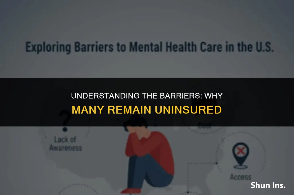 what are the reasons why people dont have health insurance