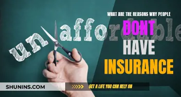 Insurance: Why the Uninsured Choose to Risk It