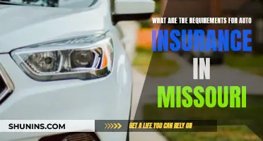 Missouri Auto Insurance: What You Need to Know