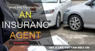 Understanding Legal Rights: Insurance Agents' Edition