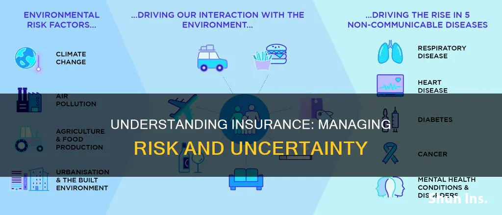 what are the risks in insurance