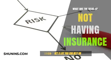 Insurance: Protecting Your Future, Avoiding Financial Risks