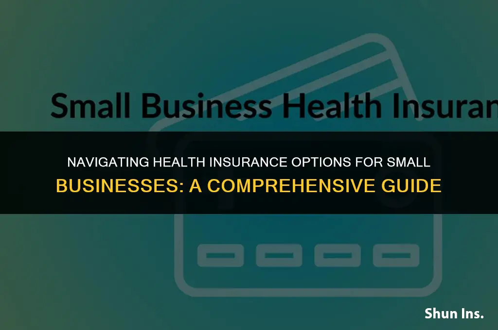 what are the rules for health insurance for small business