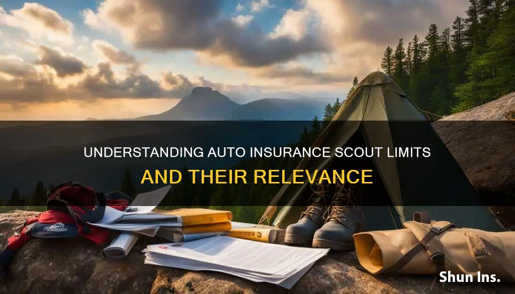 what are the scout limits for auto insurance