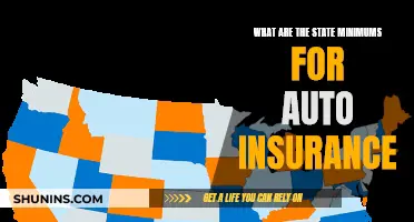 Auto Insurance Minimums: State Requirements