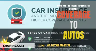 Insurance Coverage for Autos: Suggested Levels and Adequacy