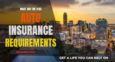 Understanding Auto Insurance Requirements in Texas