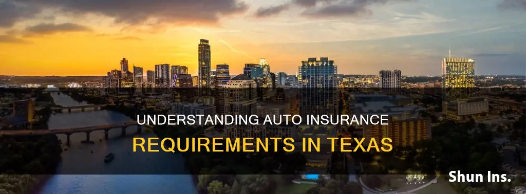 what are the teas auto insurance requirements