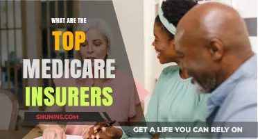 Medicare Insurers: Top Providers and Plans