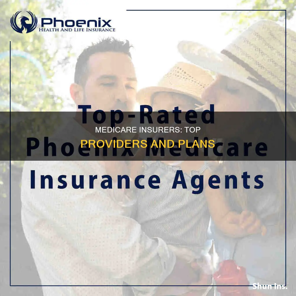 what are the top medicare insurers