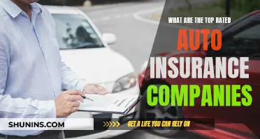 Best-Rated Auto Insurance Companies