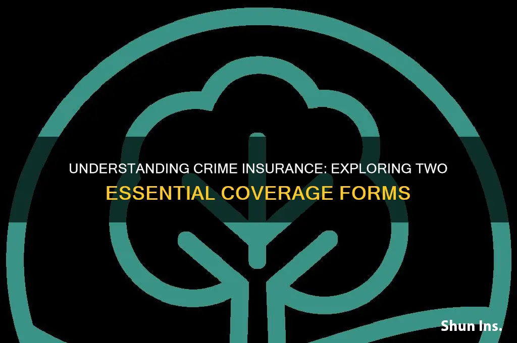what are the two forms of crime insurance