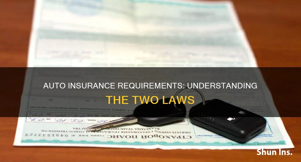 what are the two laws for auto insurance requirements