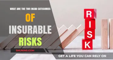 Understanding Insurable Risks: Two Main Categories