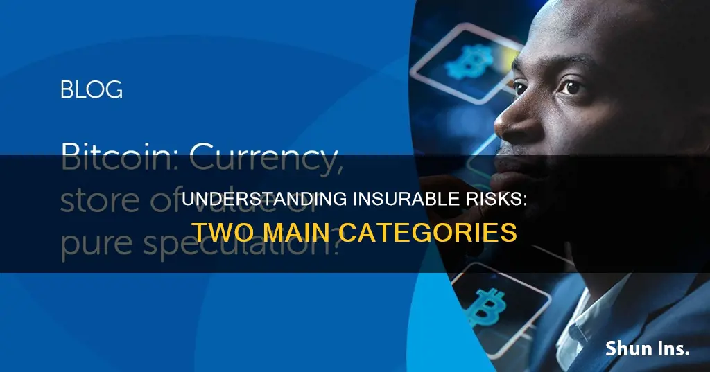 what are the two main categories of insurable risks