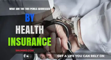Safeguarding Health: How Insurance Tackles Two Major Perils