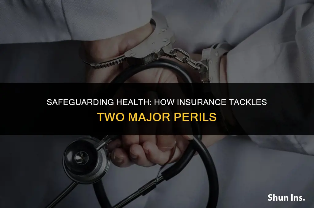 what are the two perils addressed by health insurance