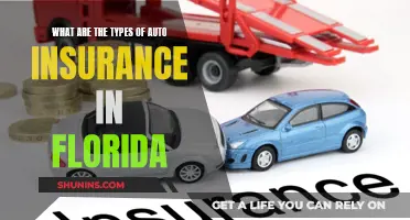 Auto Insurance in Florida: Understanding the Different Types