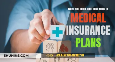 Medical Insurance Plans: Understanding the Top Three Types