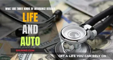 Explore Insurance Options: Beyond Auto and Life