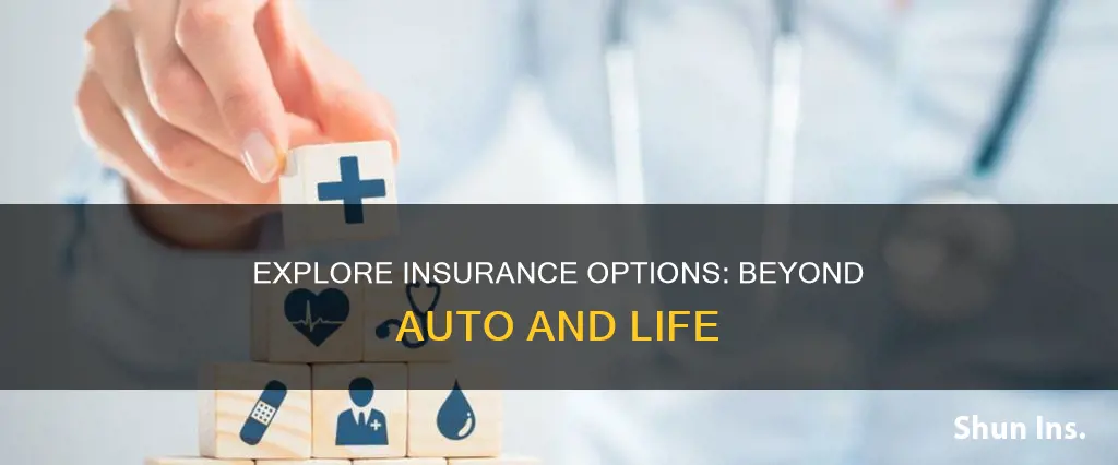 what are three kinds of insurance besides life and auto