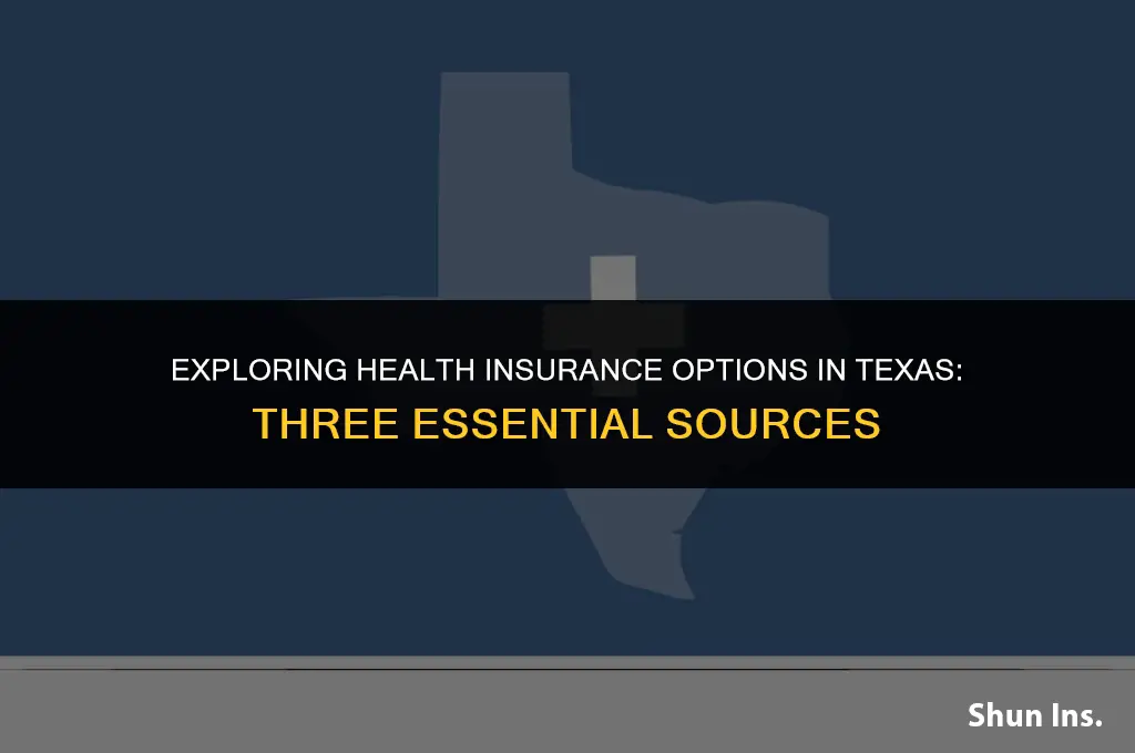what are three sources in texas for health insurance