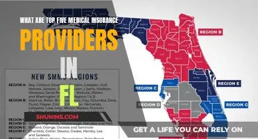 Leading Medical Insurance Providers in Florida