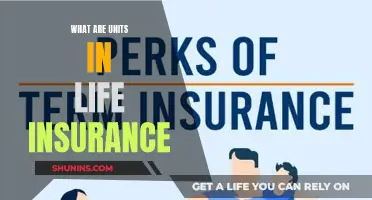 Understanding Life Insurance Units: A Comprehensive Guide