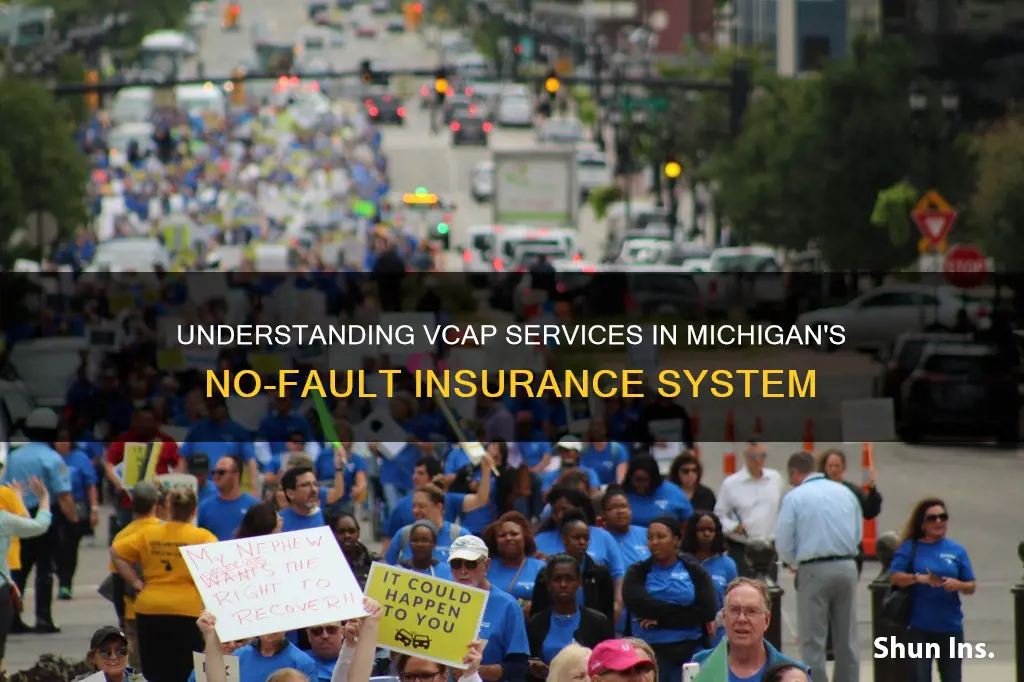 what are vcap services in Michigan no fault insurance