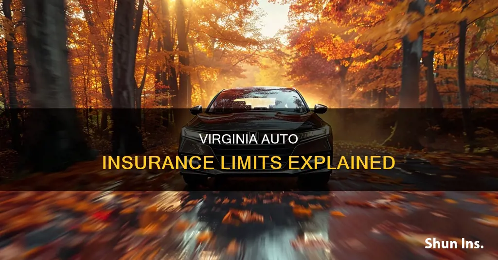 what are vehicle insurance limits for virginia