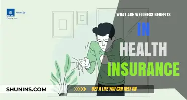Exploring the Wellness Perks: A Deep Dive into Health Insurance Benefits