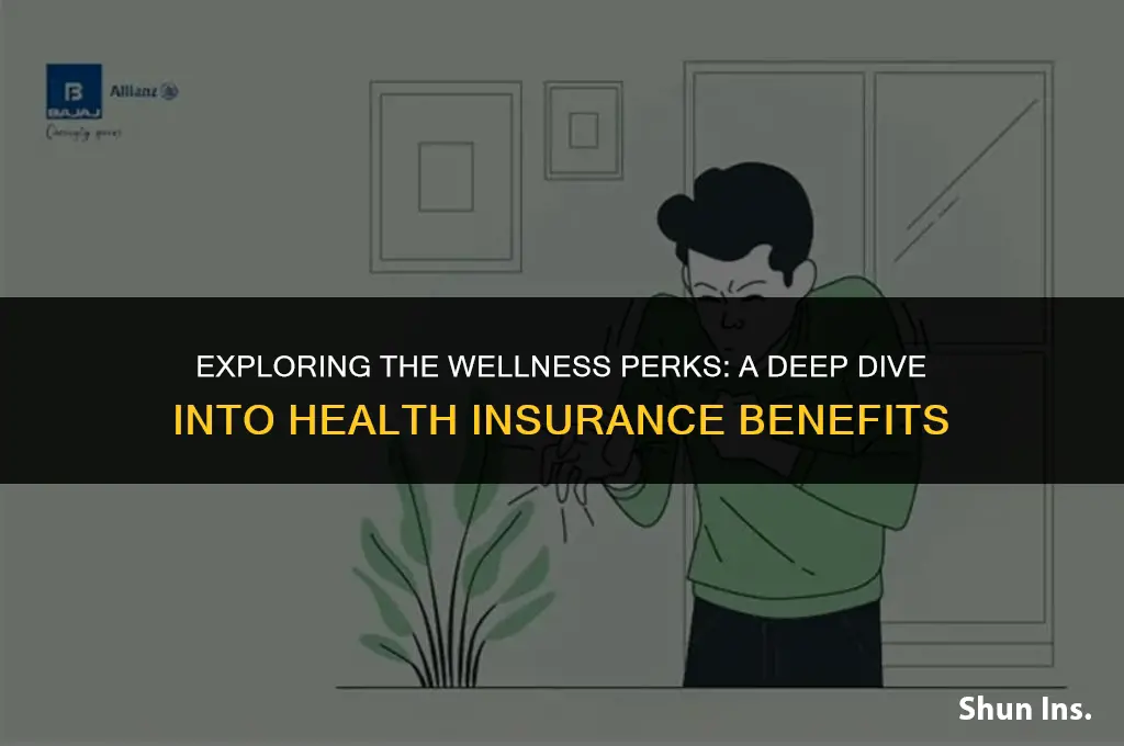 what are wellness benefits in health insurance