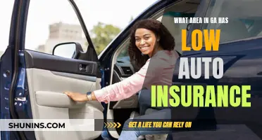 Georgia's Auto Insurance Havens: Low-Cost Coverage Areas